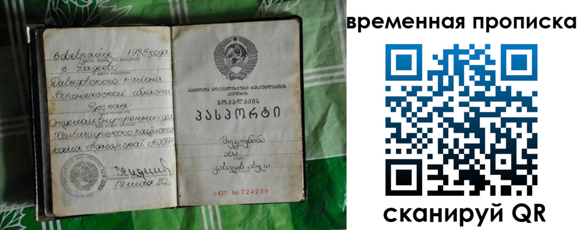 прописка в Зее